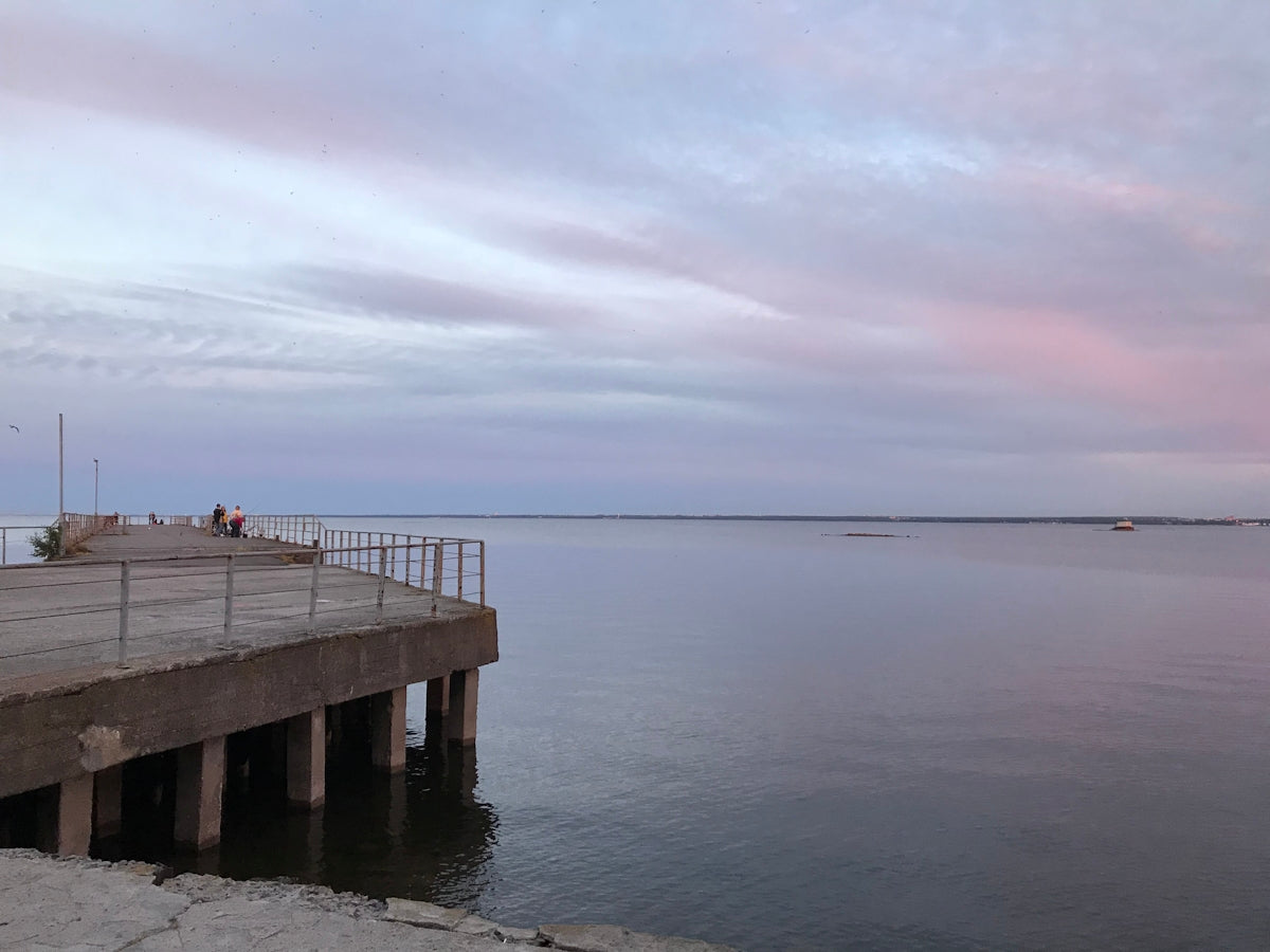 person standing on wooden dock on sea during daytime