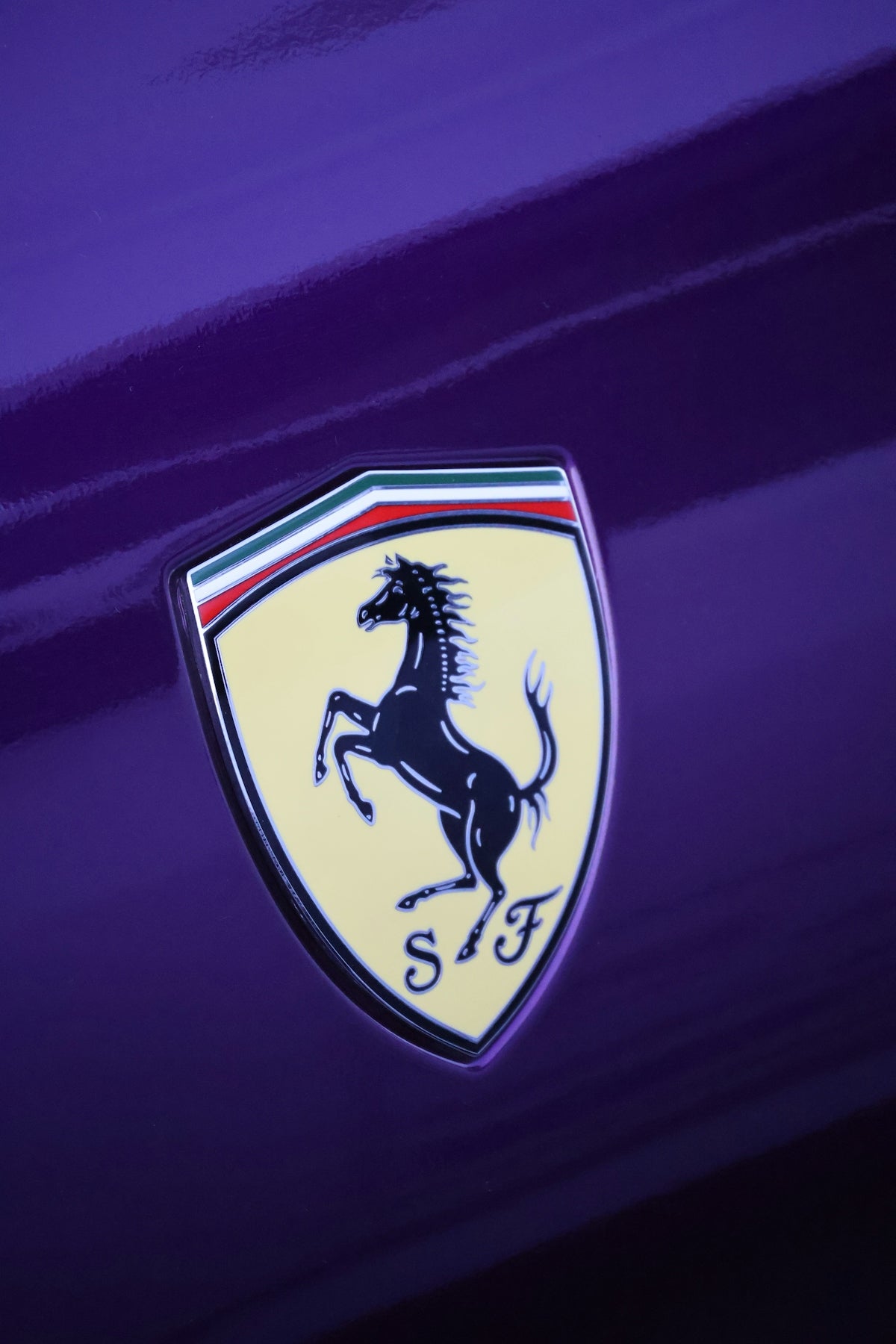 A ferrari emblem on a shiny purple car surface