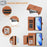 For iPhone 17 Pro Multi-Card Slots Zipper Wallet Leather Phone Case(Brown)
